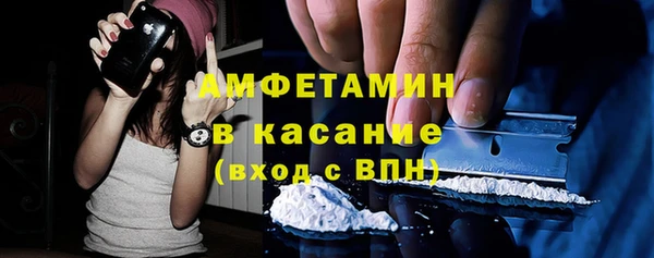 гидра Покачи