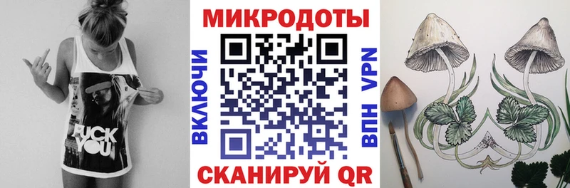 Купить  Нея  Псилоцибиновые грибы Psilocybine cubensis 