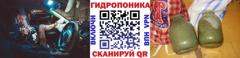 Купить  Нея  Бошки Шишки Amnesia 